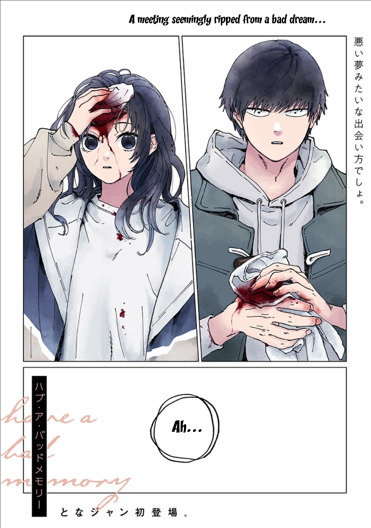 Have a Bad Memory 第1页