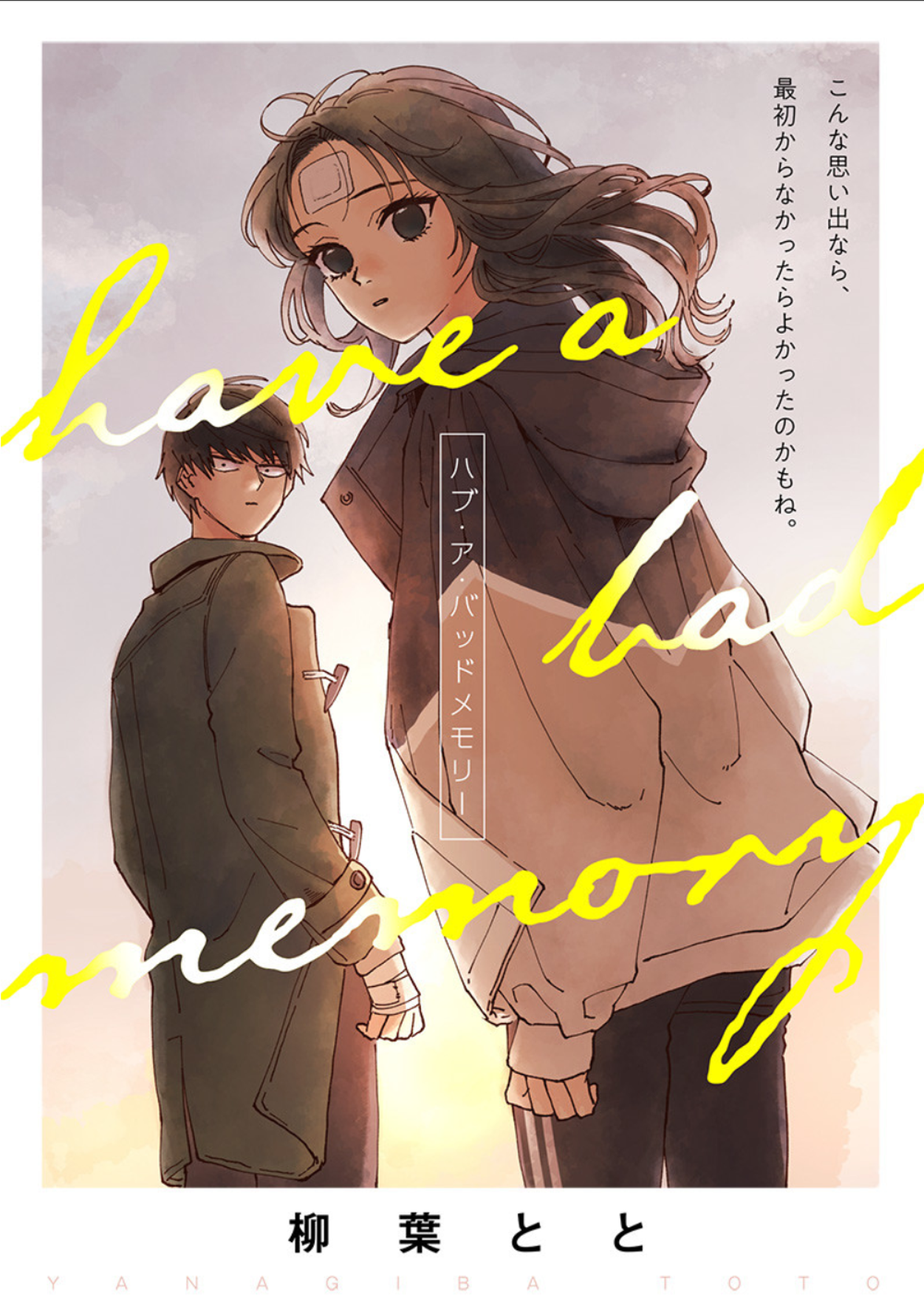 Have a Bad Memory 第2页