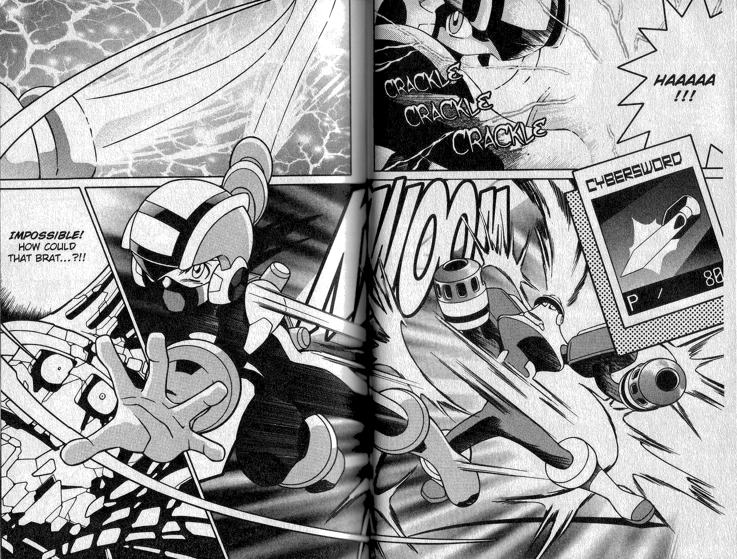 Mega Man Battle Network Battle in the New Century! MegaMan 第17页