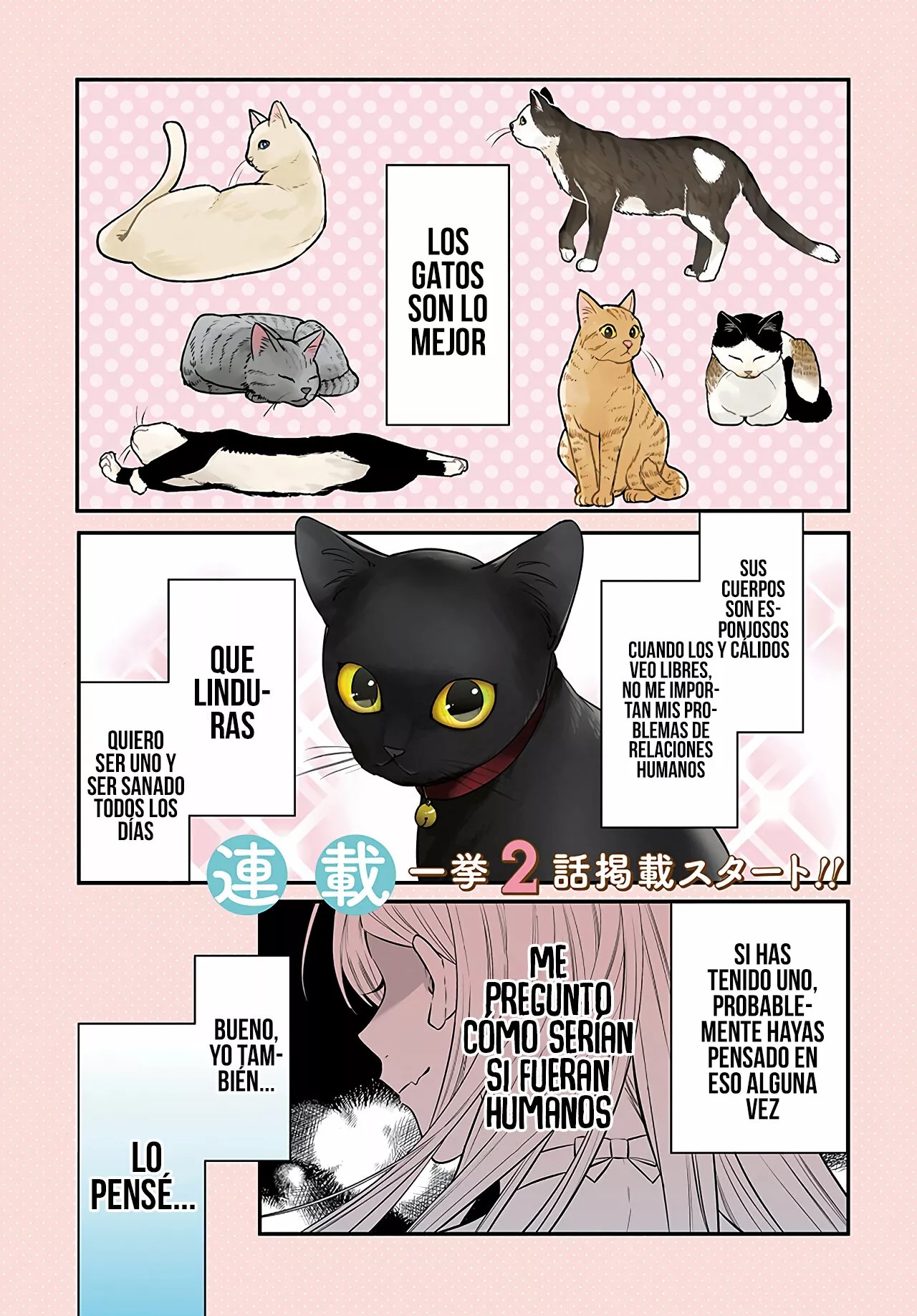 Mii-chan wa Kawaretai Vol. 1 Ch. 1 第3页