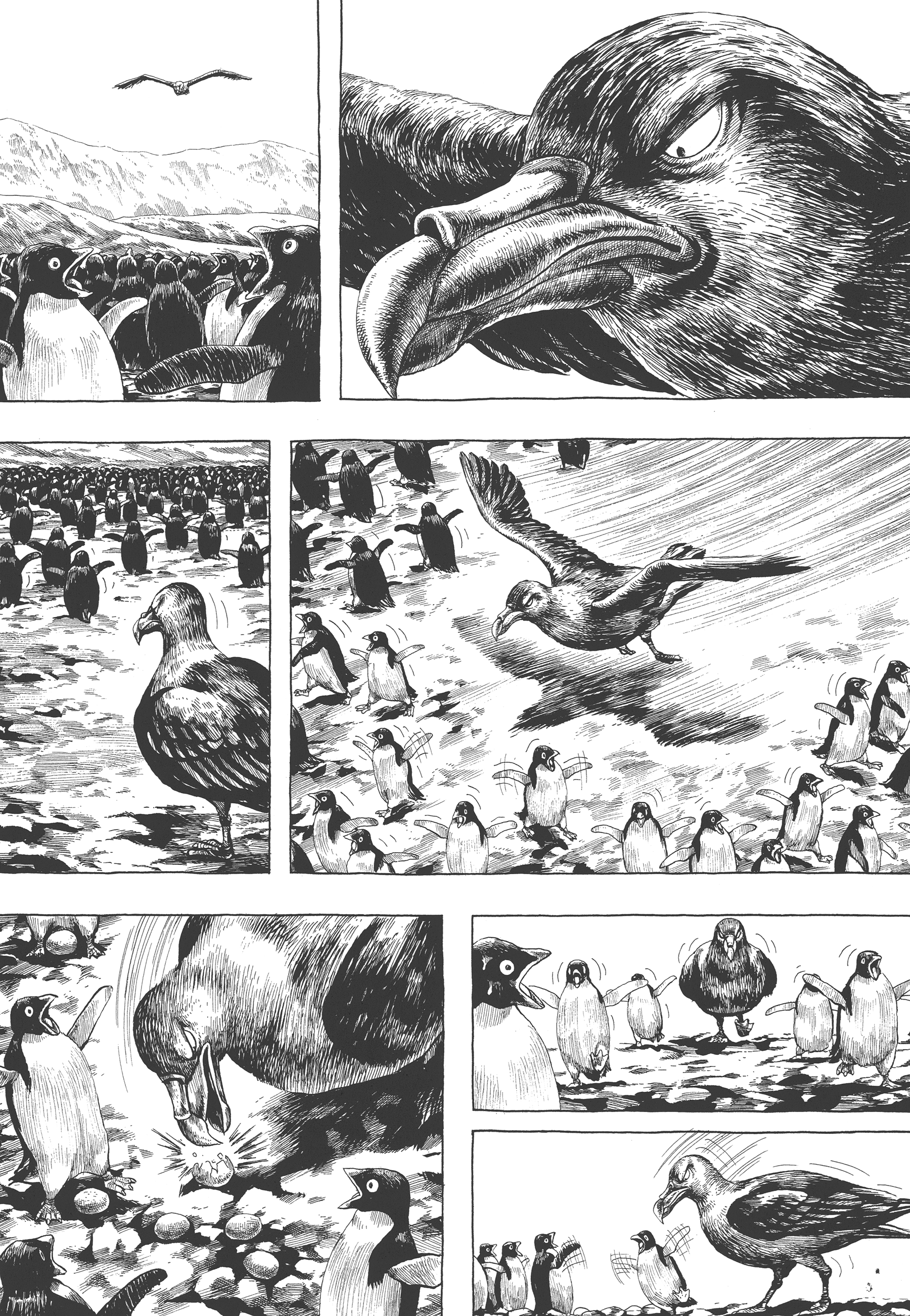GON Selection GON Lives with the Penguins. 第20页