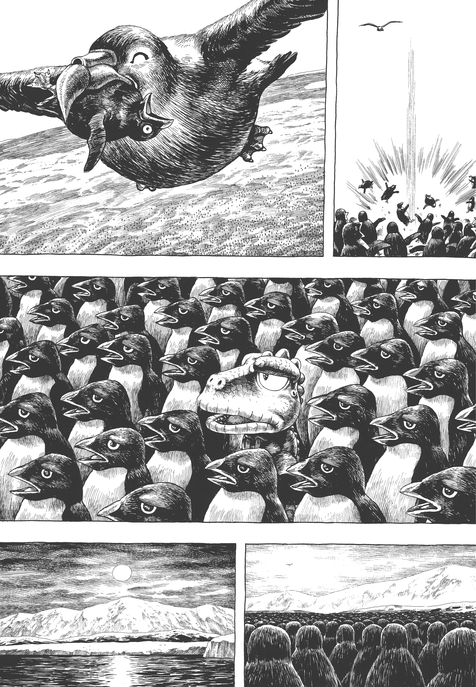 GON Selection GON Lives with the Penguins. 第23页