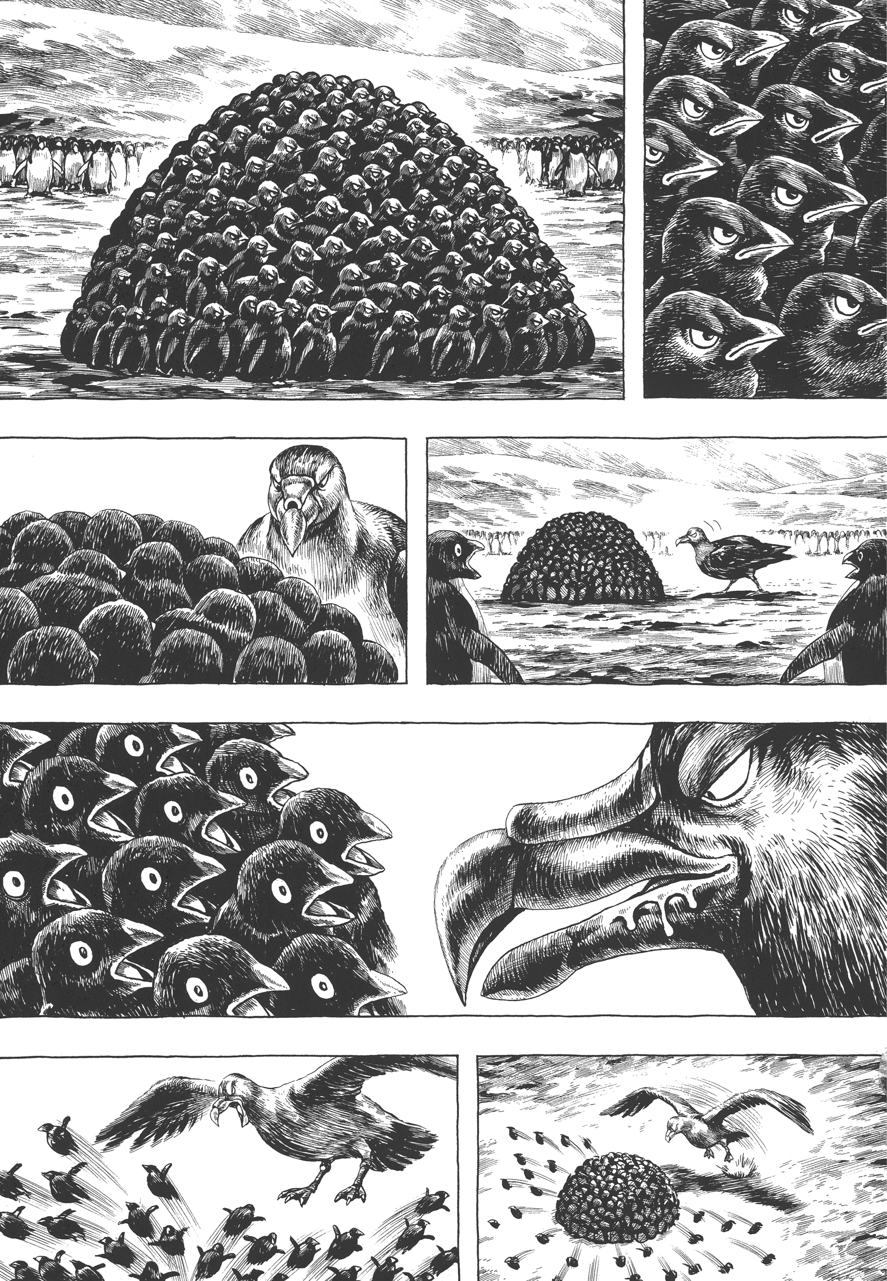 GON Selection GON Lives with the Penguins. 第25页
