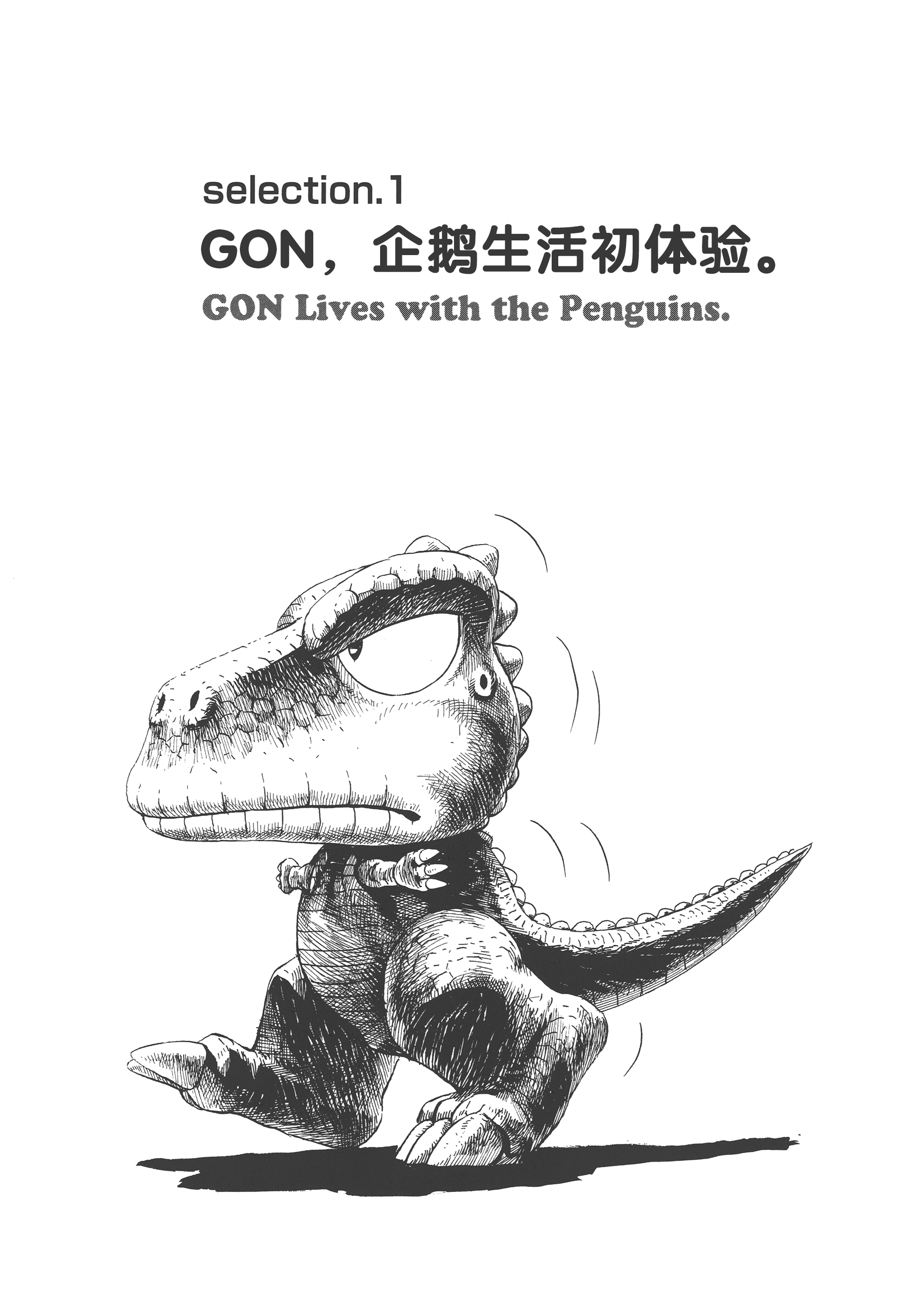 GON Selection 第5页