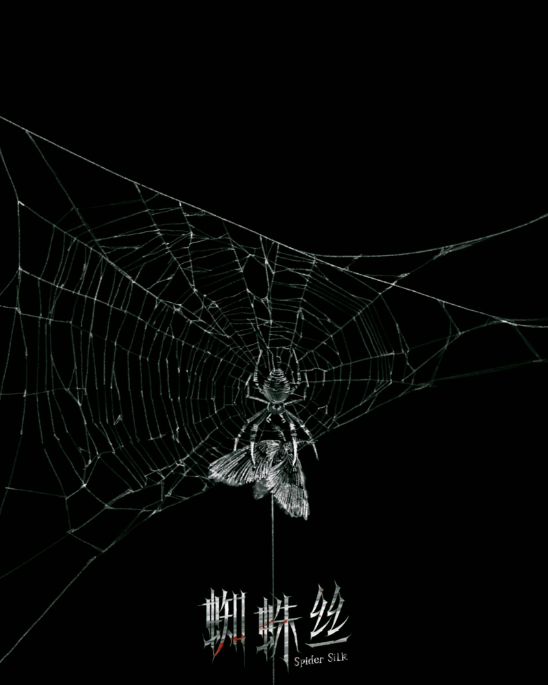 Spider Silk 第6页