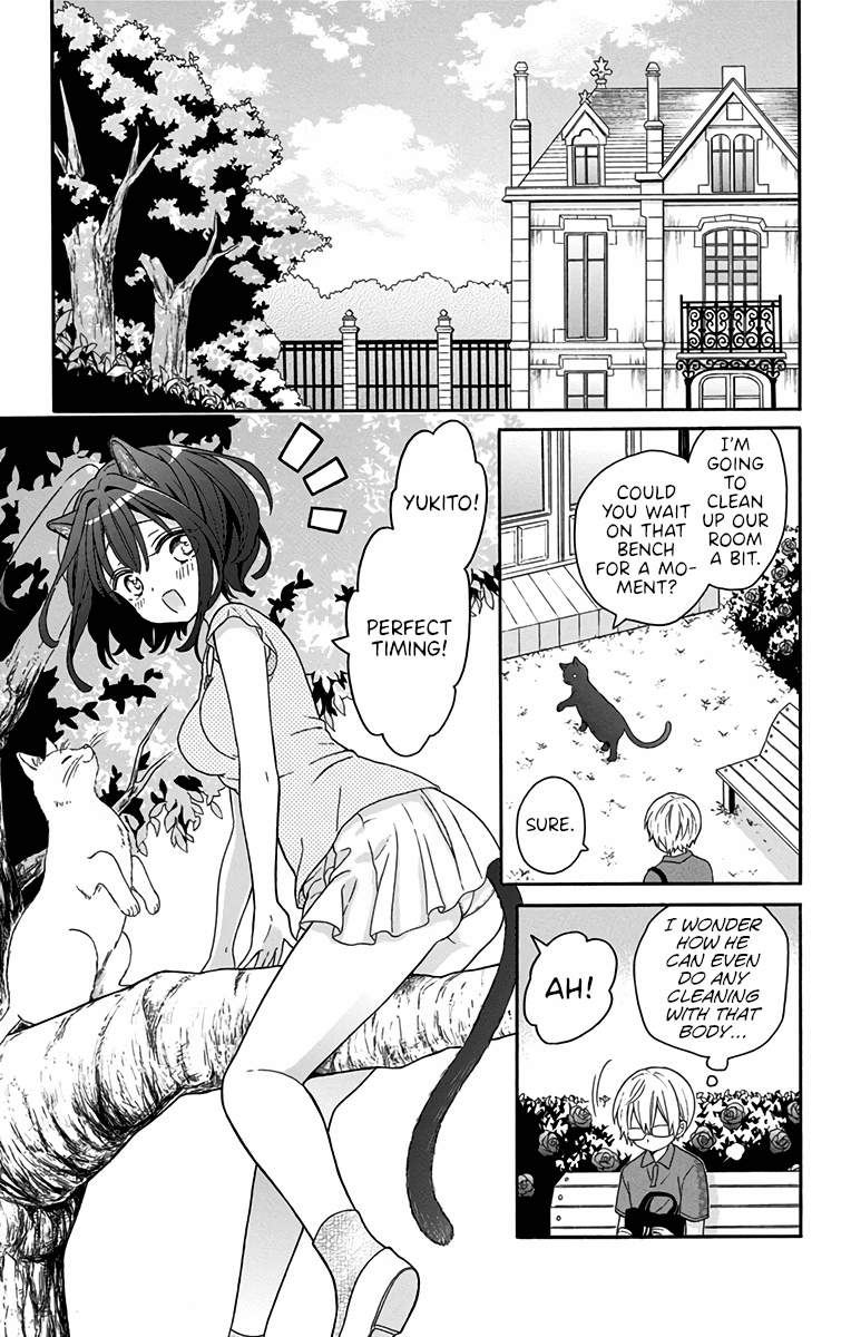 Nekokaburi Sayokyoku Oneshot 第17页