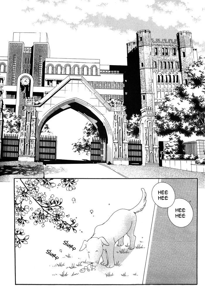 I Will Be Cinderella 第6页