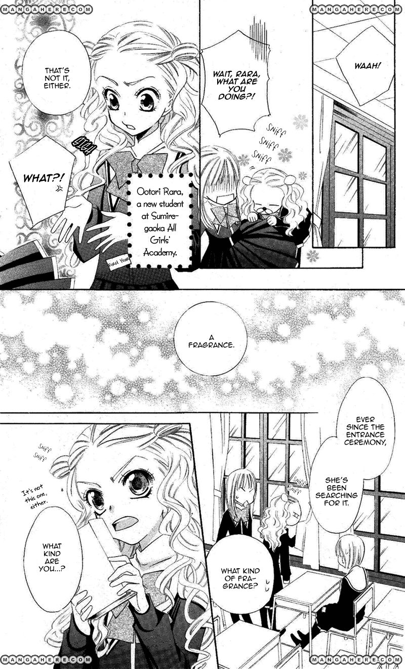 Private Aroma 第5页