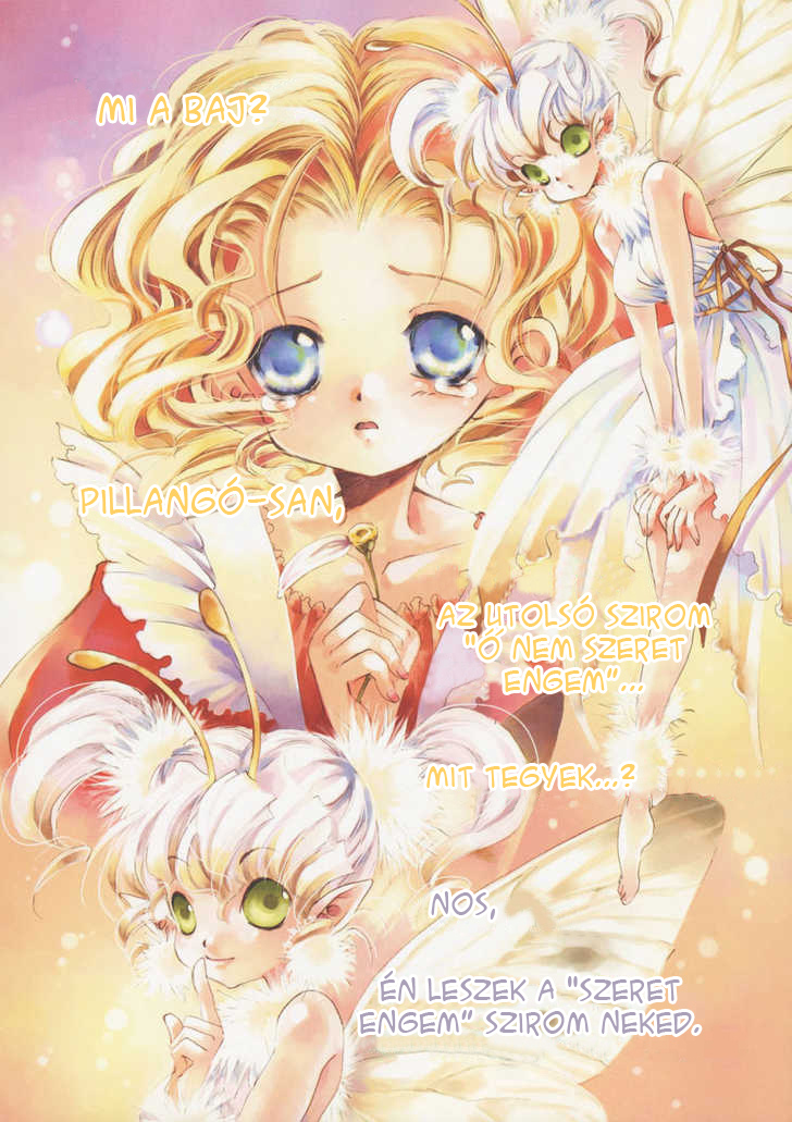 Like a Flower Oneshot 第2页