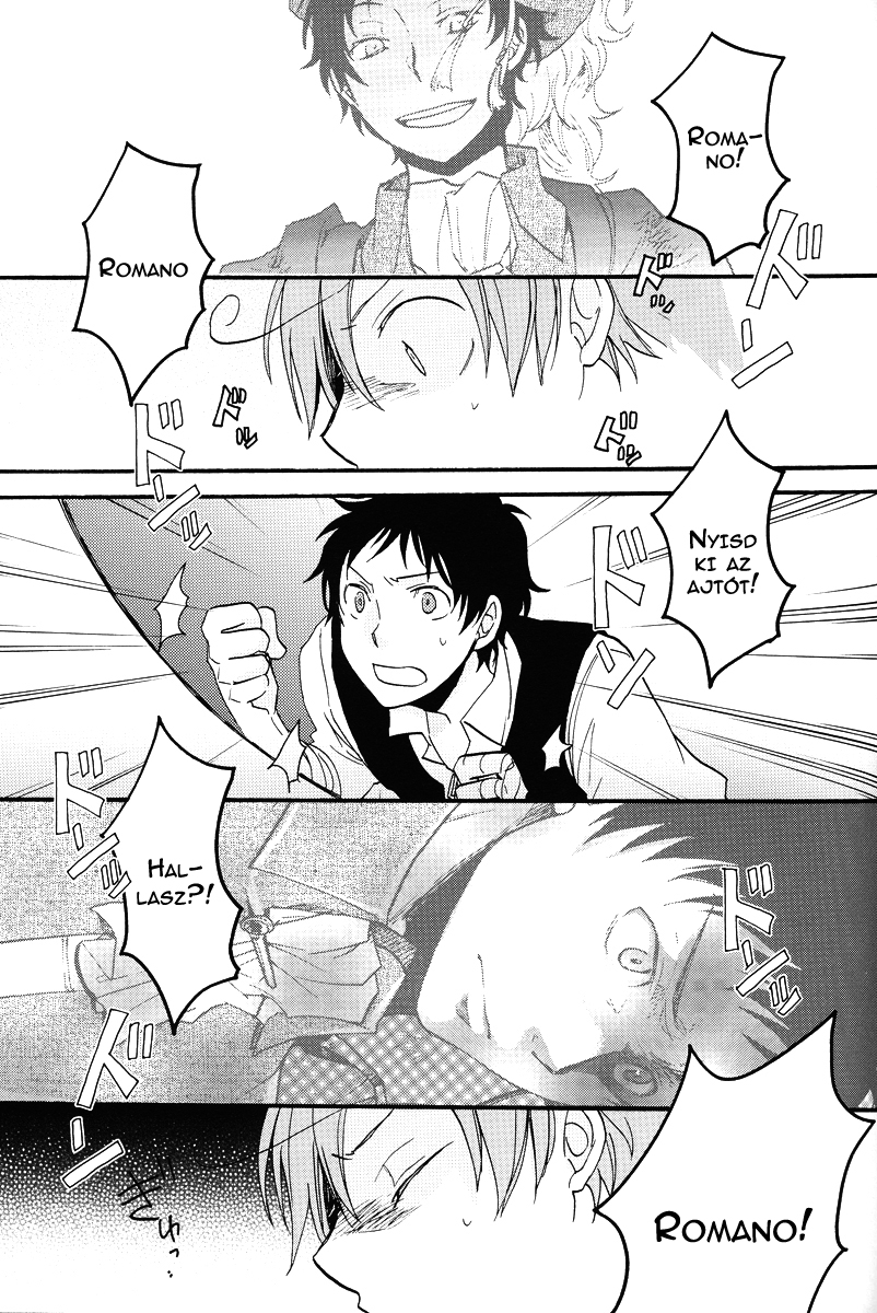 Hetalia - Besame Mucho (Doujinshi) Soy Y Sombra 第14页