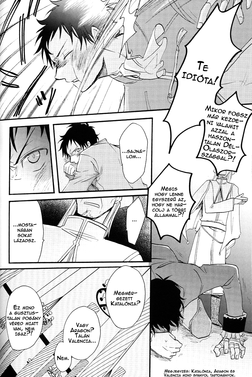 Hetalia - Besame Mucho (Doujinshi) Soy Y Sombra 第17页