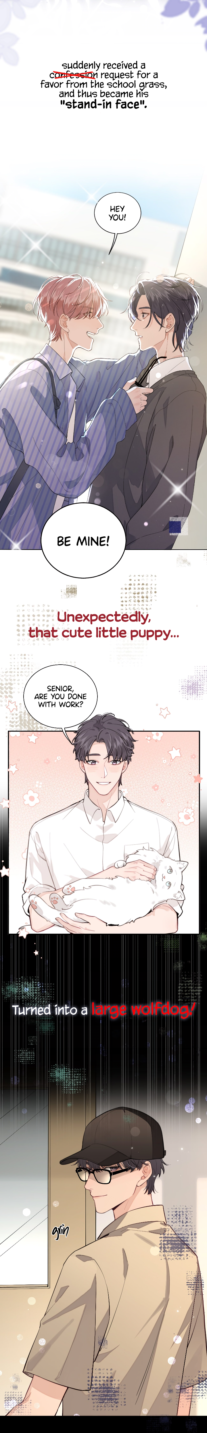 The Grown Dog Bullies Its Owner 第5页