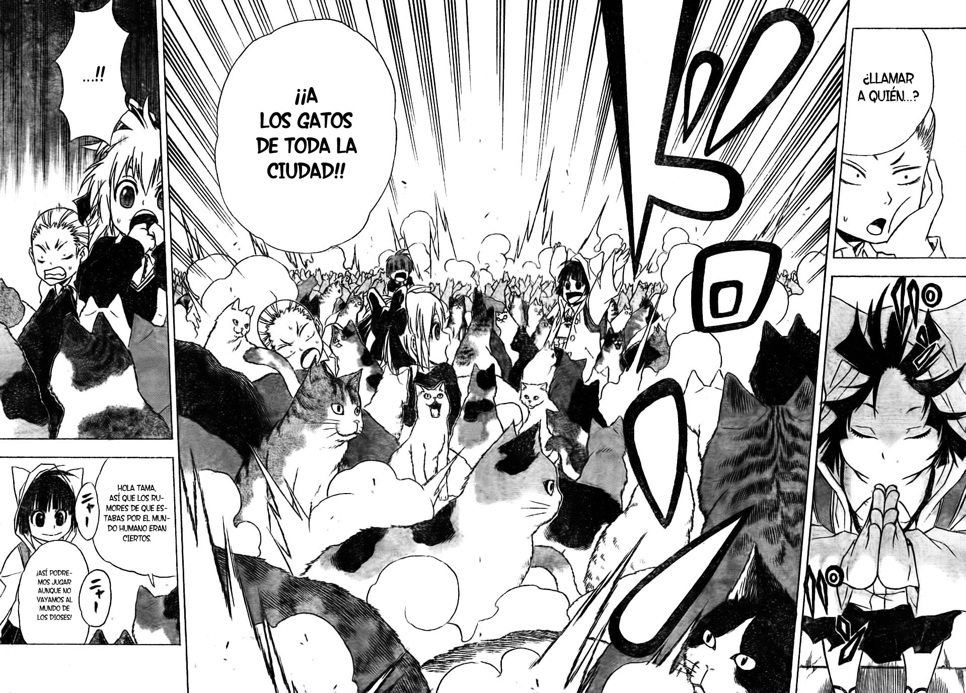 Nekowappa! Tama va al colegio 第16页