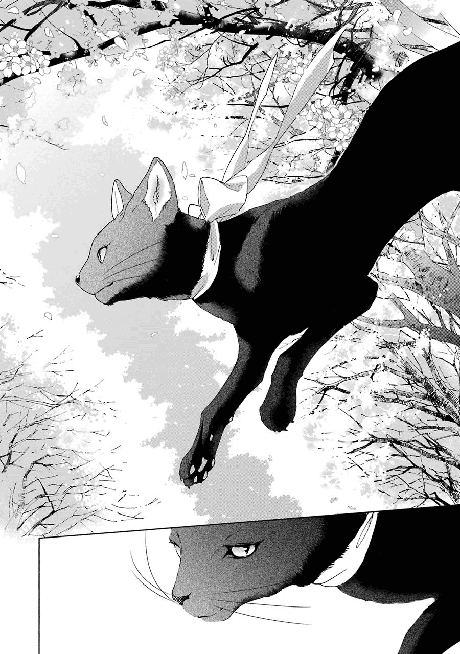 Shiraishi-kun's Classmates Classmate Encounter 第27页