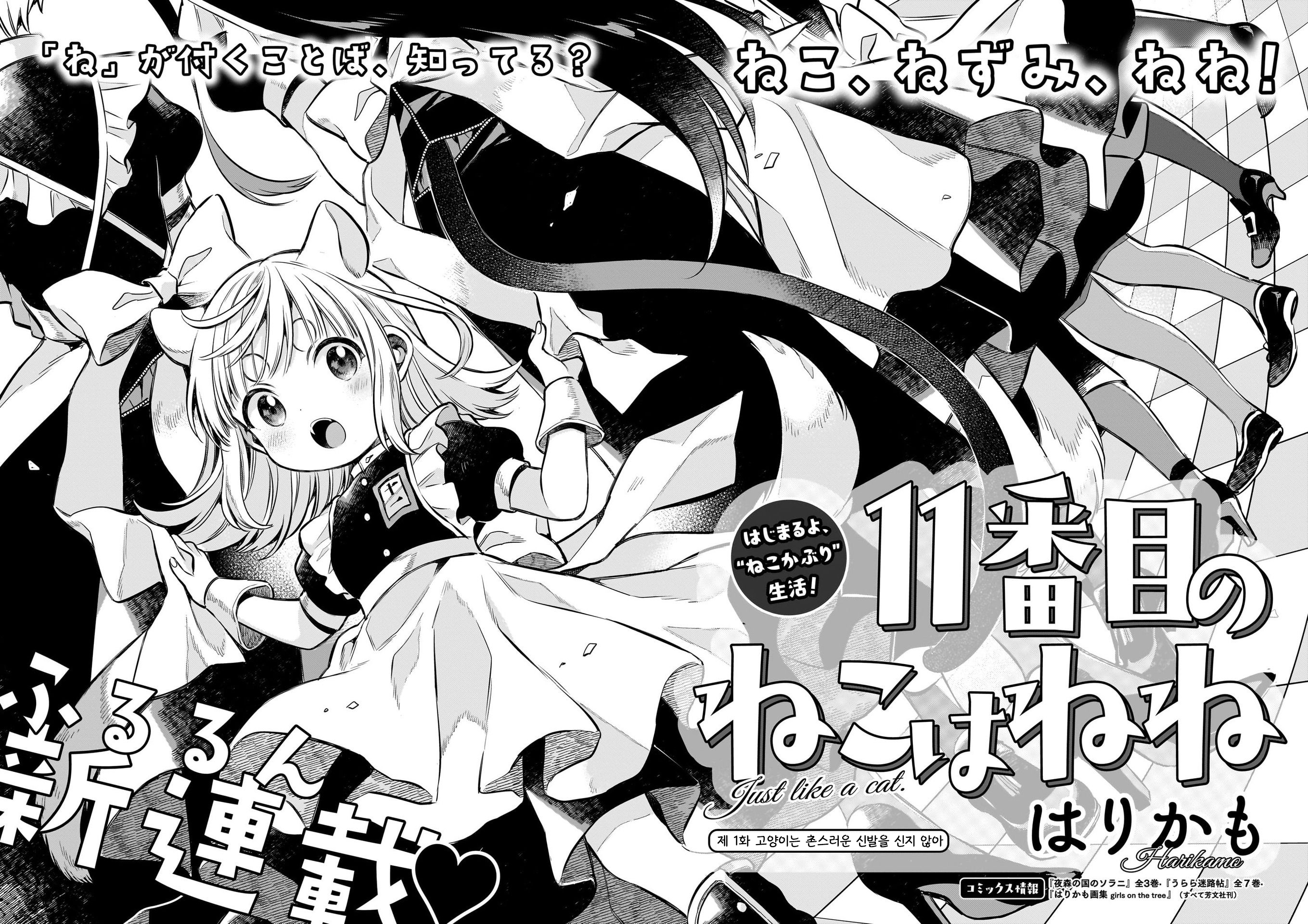 11-banme no Neko wa Nene Cats don't wear boots 第2页