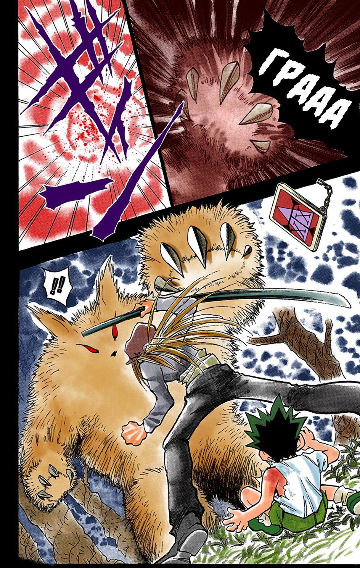 Hunter x Hunter (Official Colored) День отправления 第17页