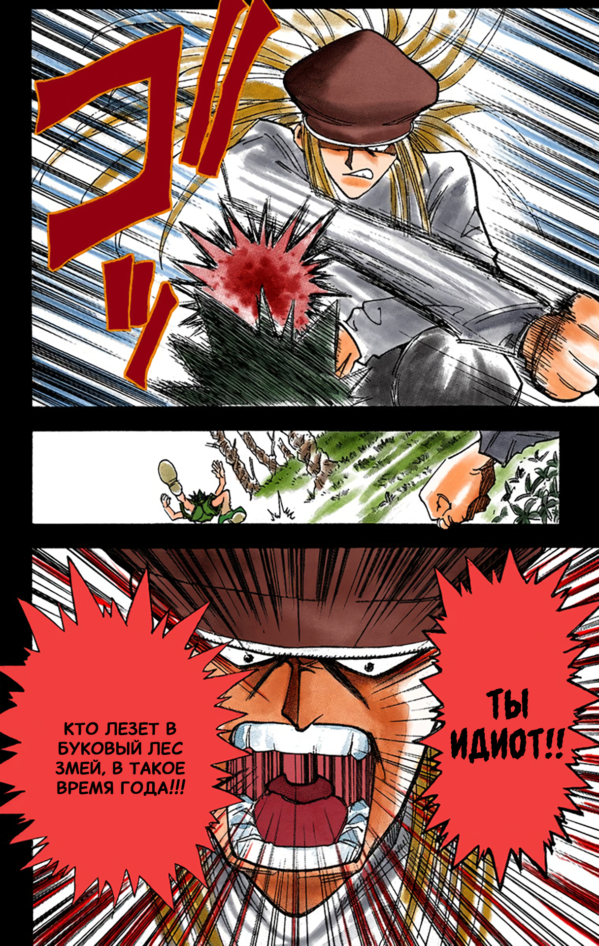 Hunter x Hunter (Official Colored) День отправления 第19页