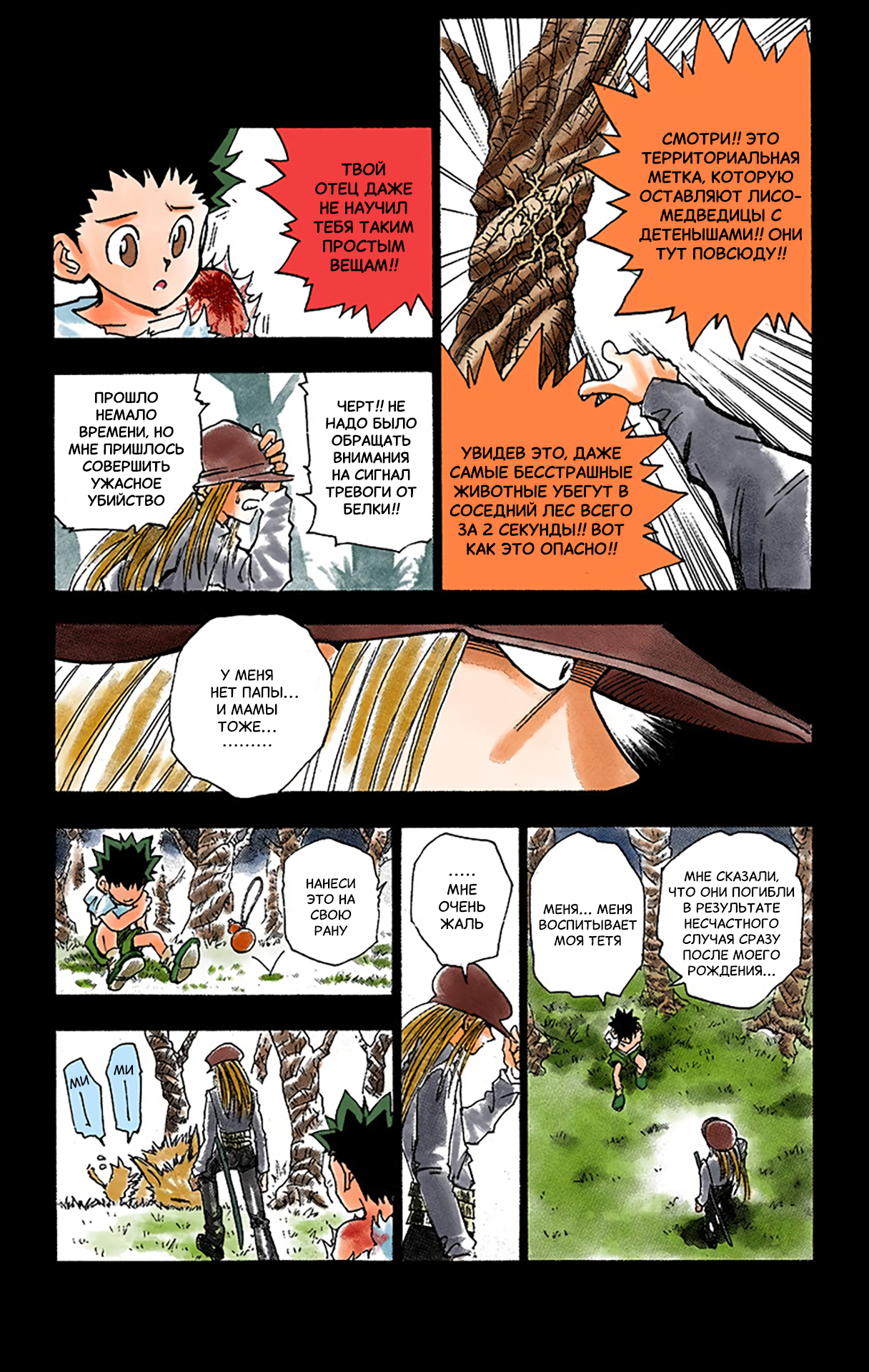 Hunter x Hunter (Official Colored) День отправления 第20页
