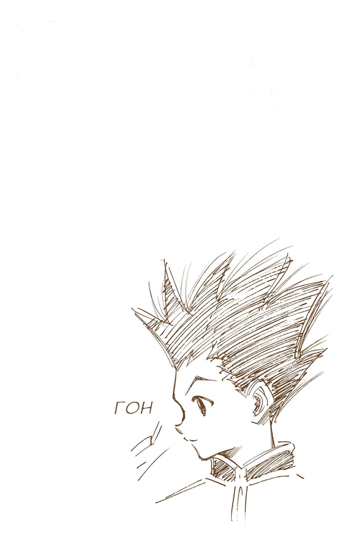 Hunter x Hunter (Official Colored) День отправления 第35页