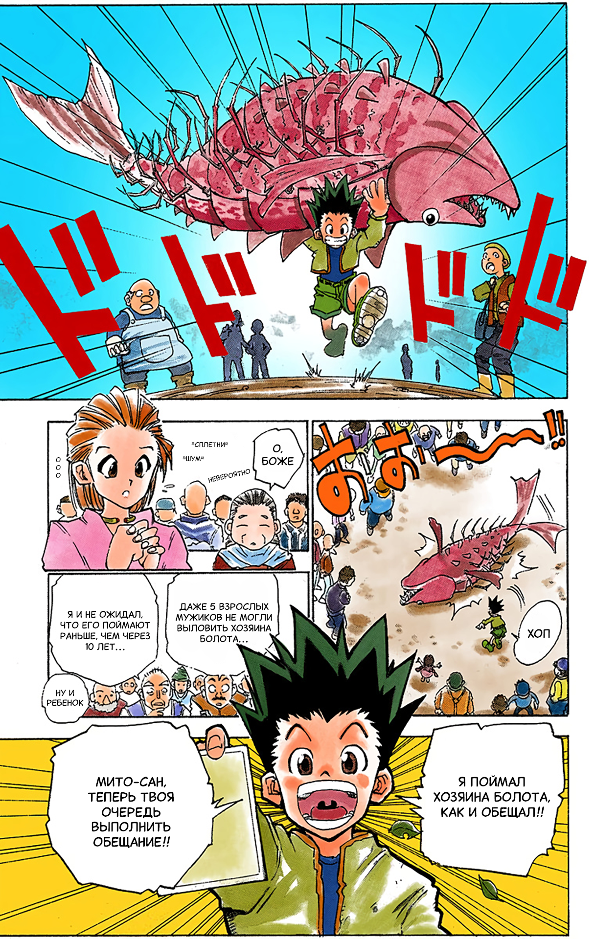 Hunter x Hunter (Official Colored) День отправления 第10页