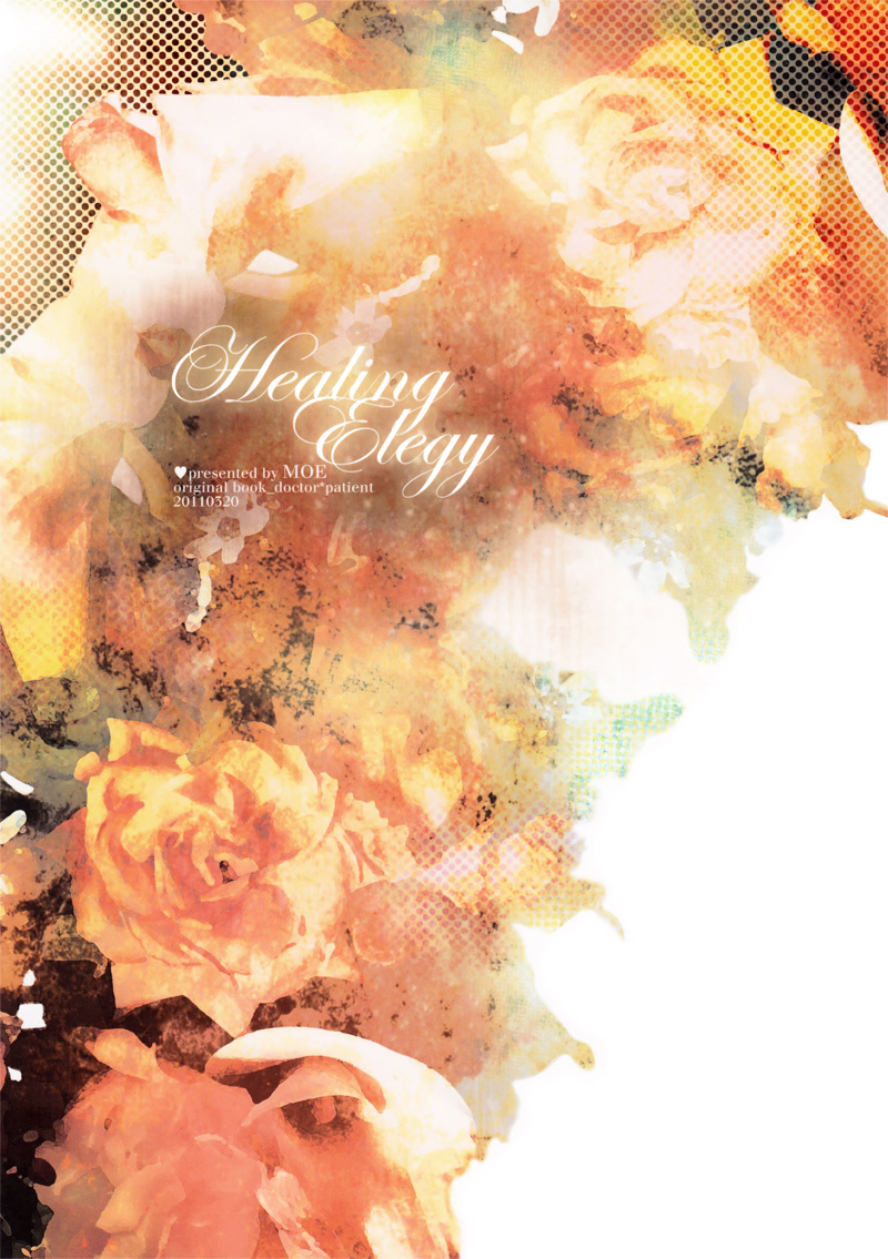 Healing Elegy 第3页