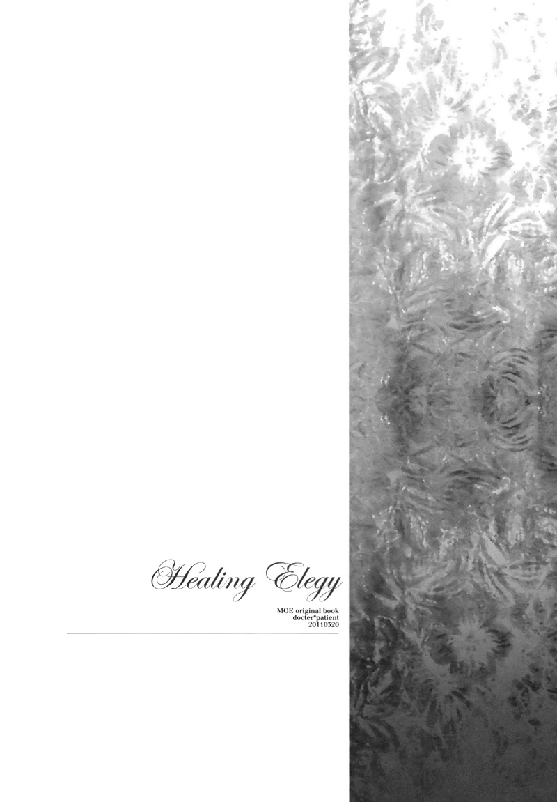 Healing Elegy 第5页