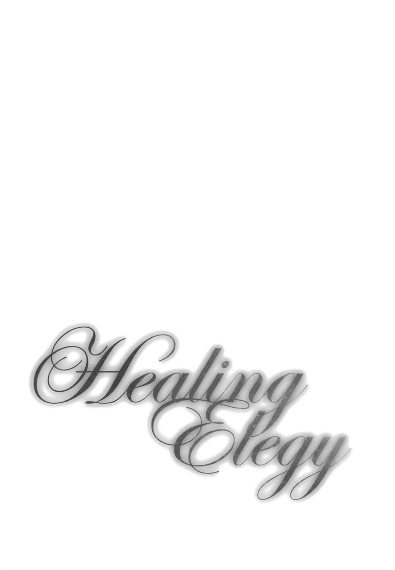 Healing Elegy 第8页