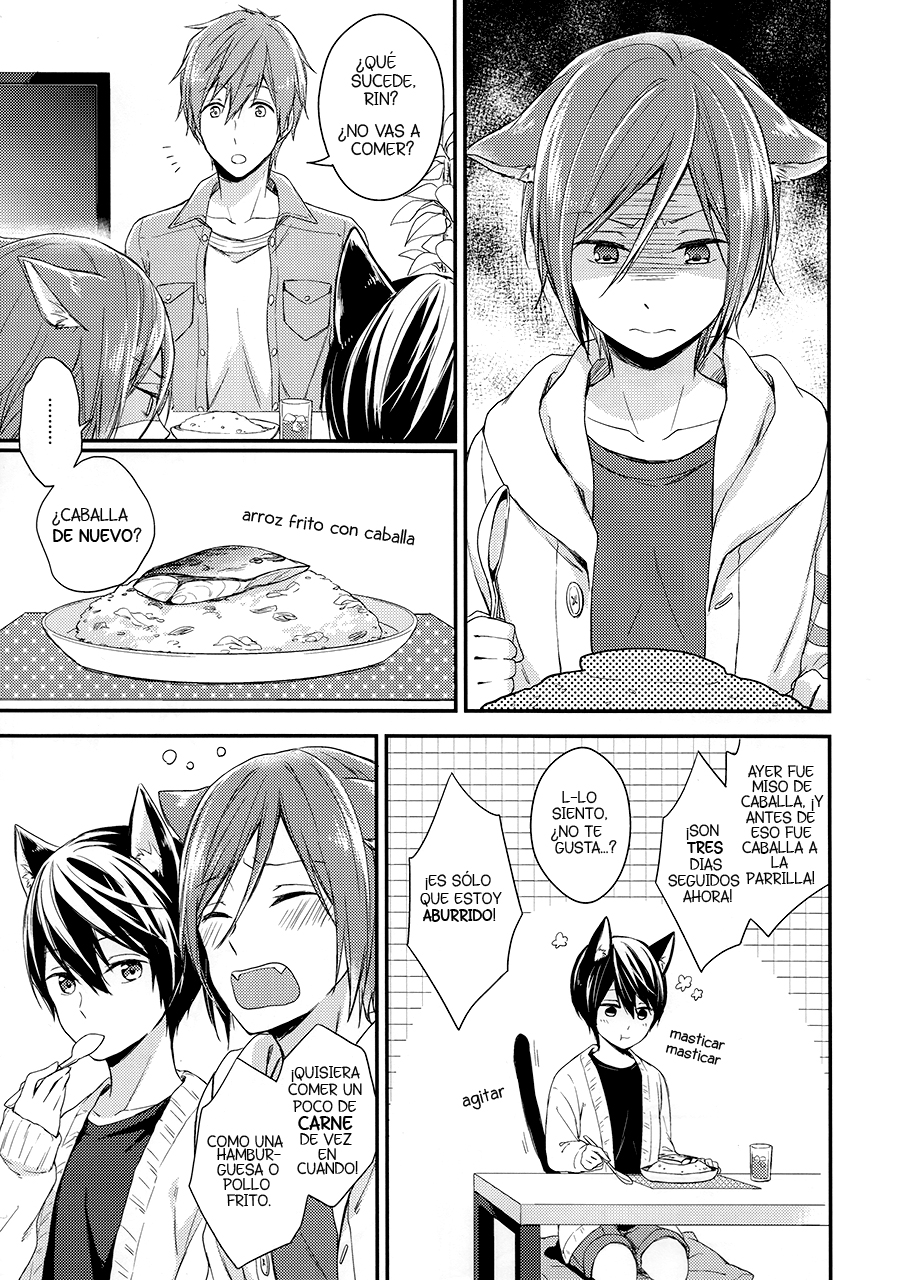 Free! - Koneko no Parade (Doujinshi) Oneshot 第4页