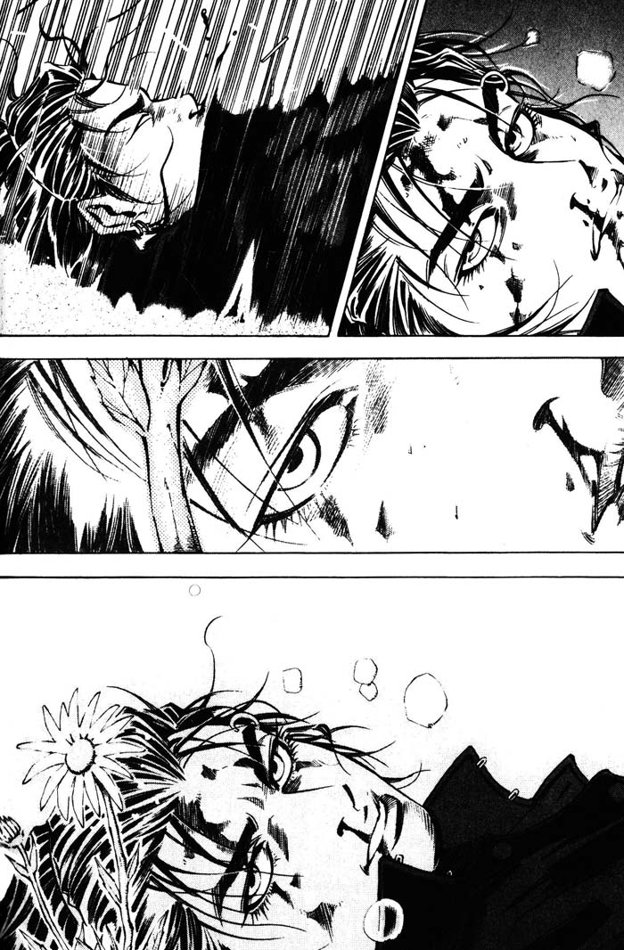 High School Wildflowers 第9页