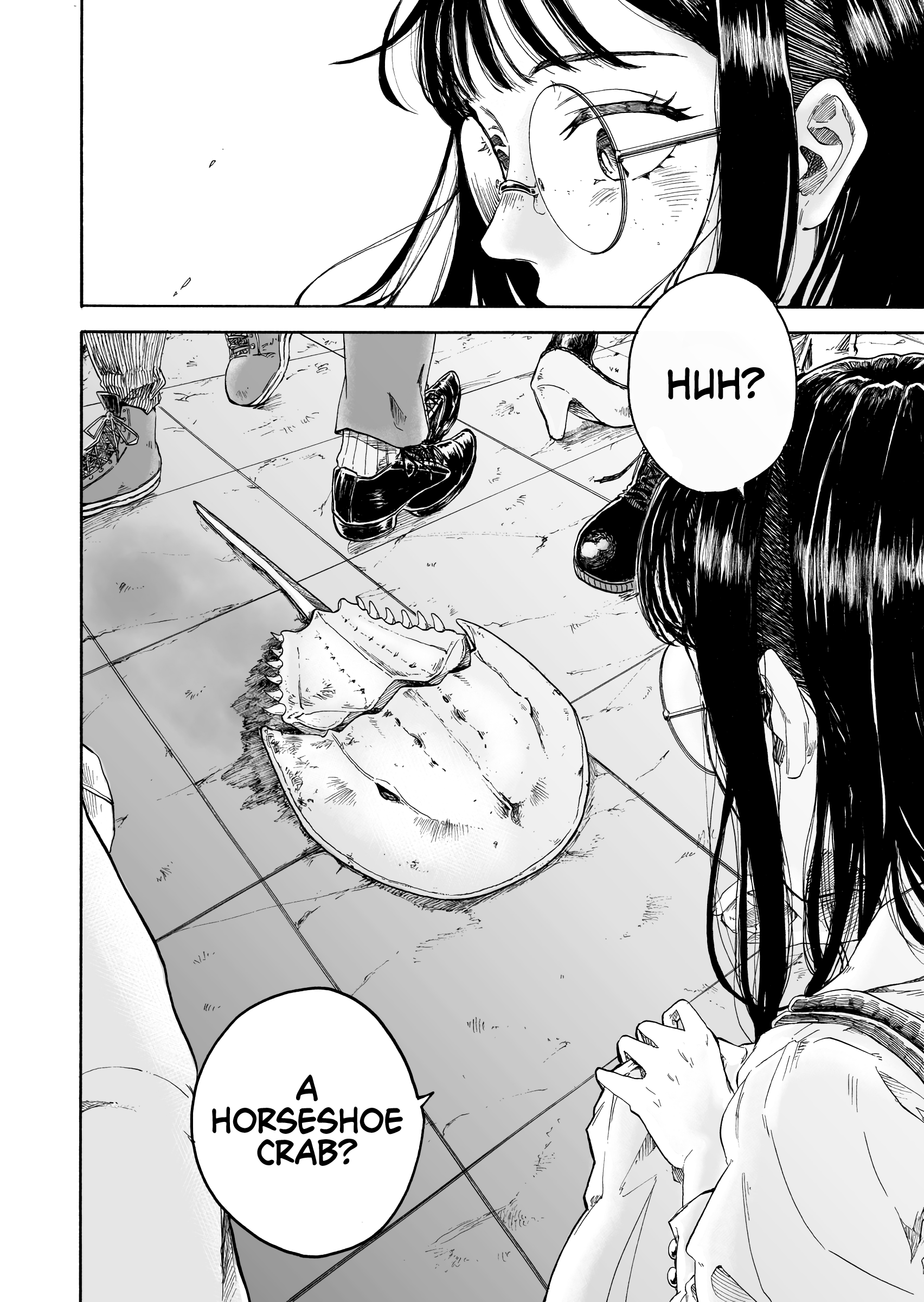 The 200 Million Year Long Dream 第3页