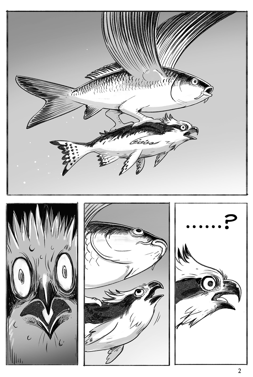 Carp 第2页