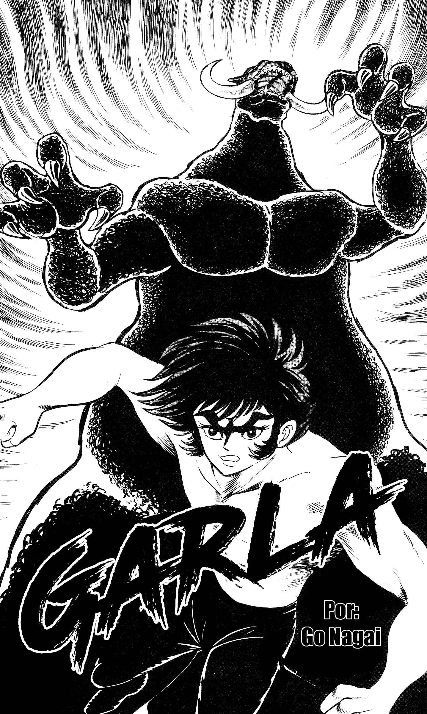 Garla 第3页