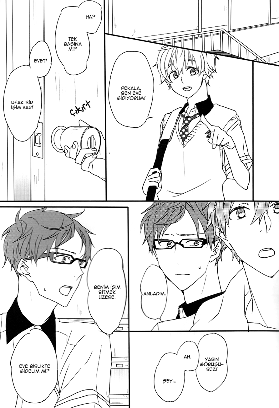 Free! - More and More (Doujinshi) 第6页