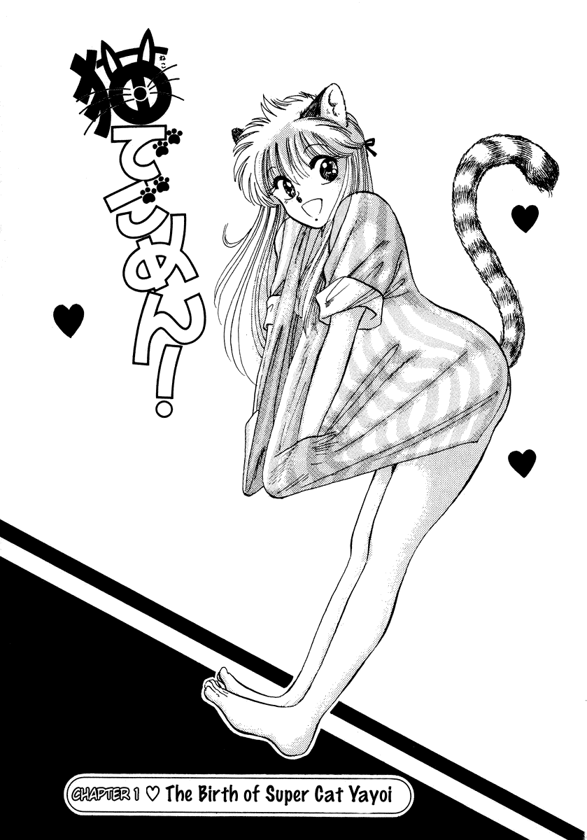 Sorry, I'm a Cat! The Birth Of Super Cat Yayoi 第6页