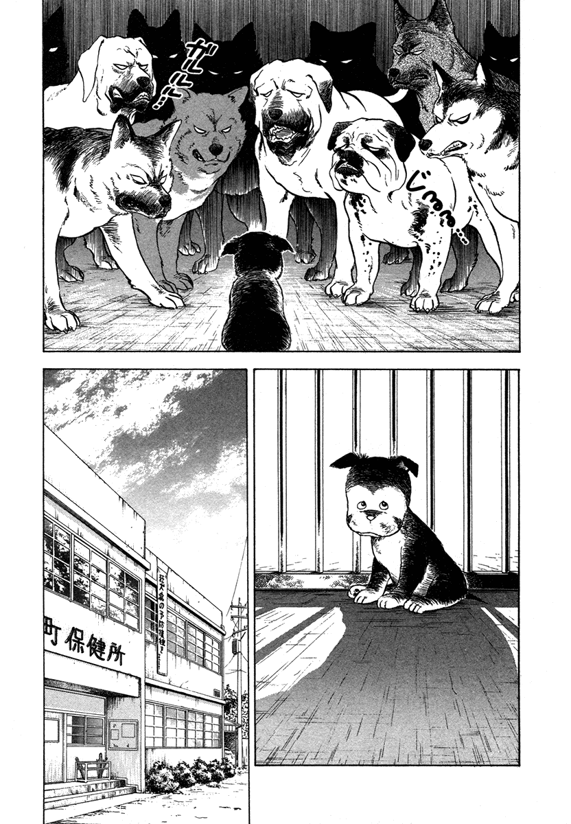 The Chronicles of the Boy Hanada Grandma's Request 第22页
