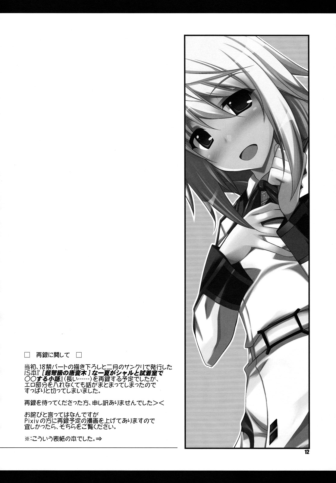 Infinite Stratos - Our Group Work (Doujinshi) Oneshot 第11页