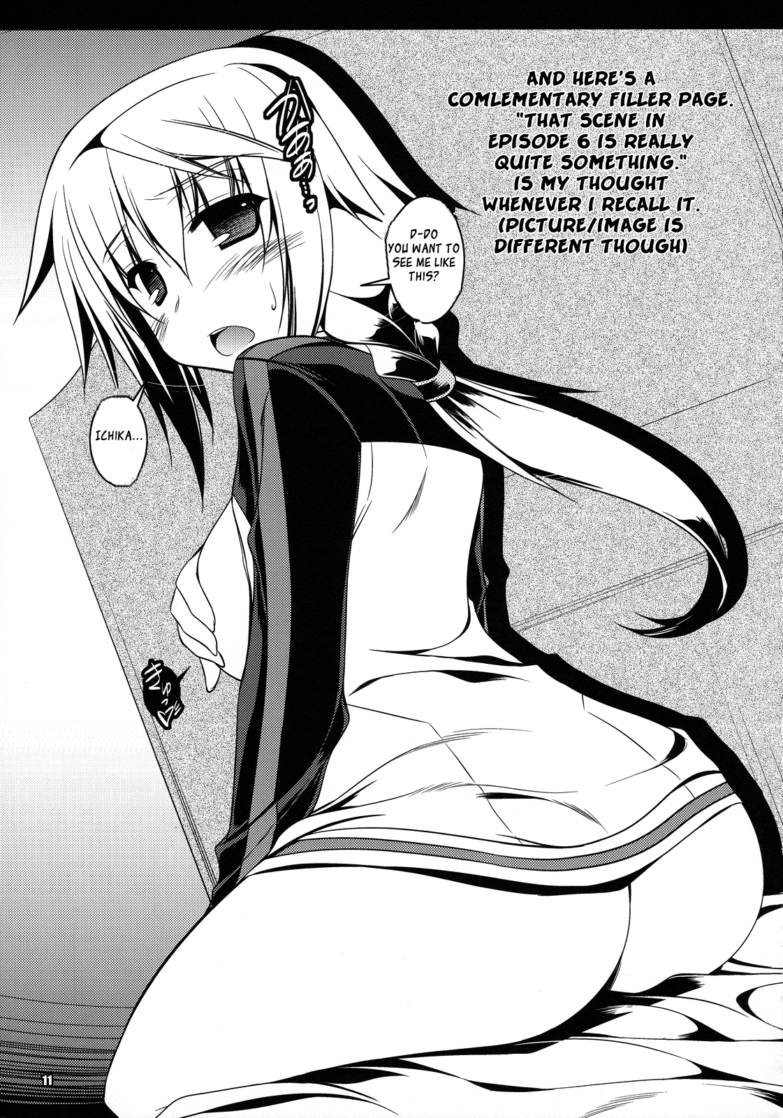 Infinite Stratos - Our Group Work (Doujinshi) Oneshot 第10页