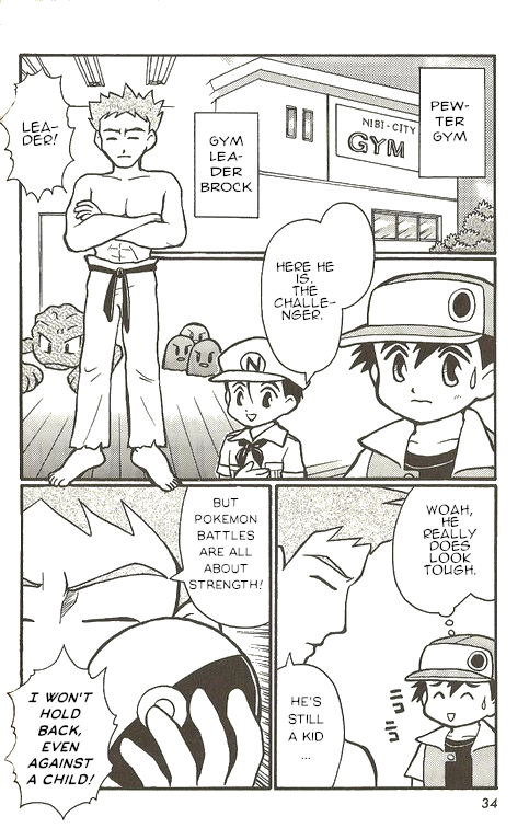 Pokémon - The Complete Story Vol. 1 Ch. 1 第17页