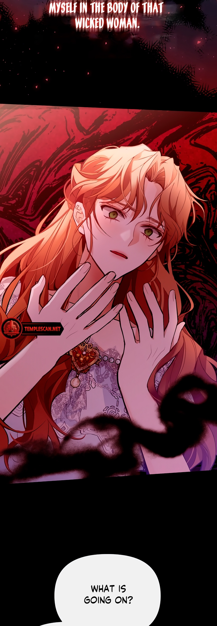 Looking for My One-Night Villainess Ch. 1 第14页