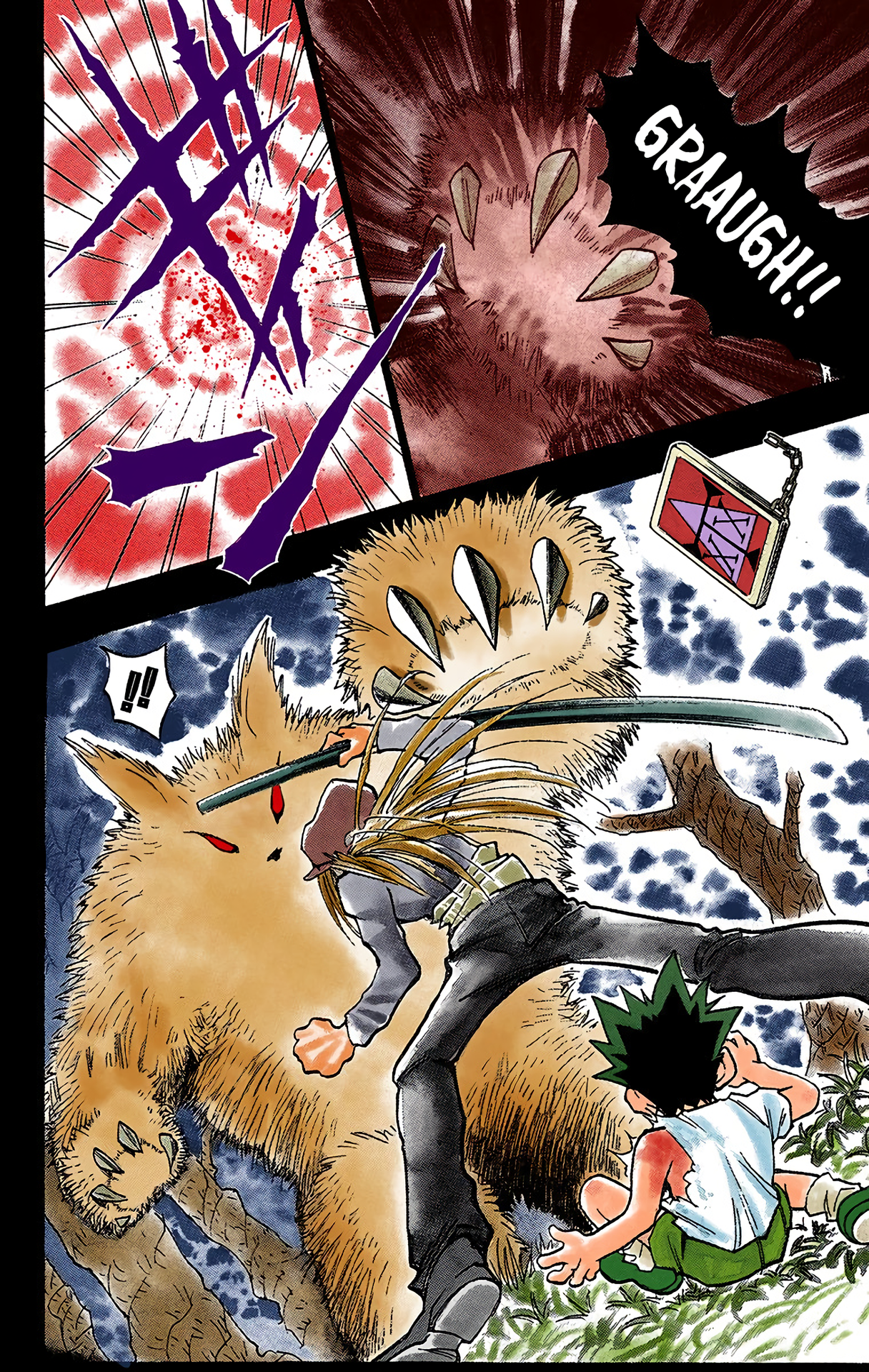 Hunter x Hunter (Official Colored) The Day of Departure 第17页