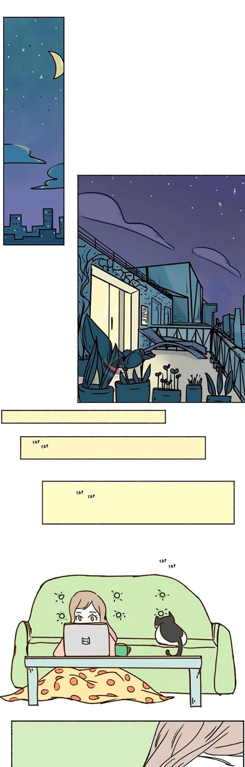 Kind of Confidential Pegando uma estrela cadente 第3页