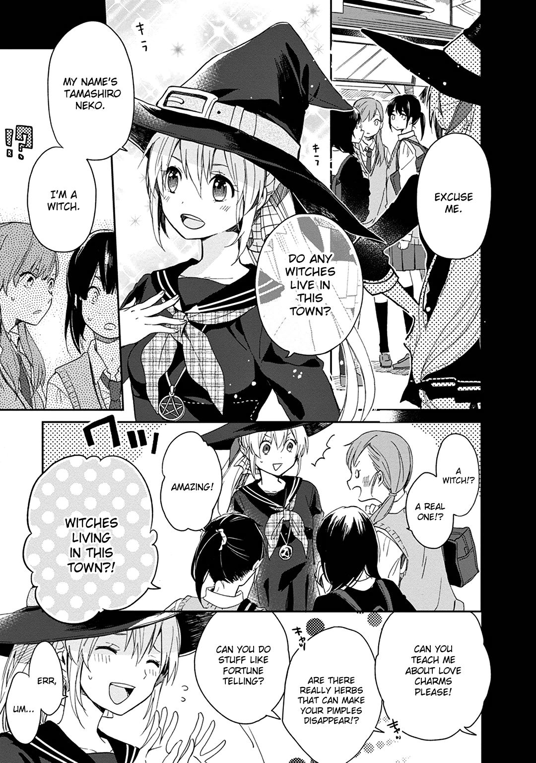 The Modern Witch's Employment Prospects 第5页