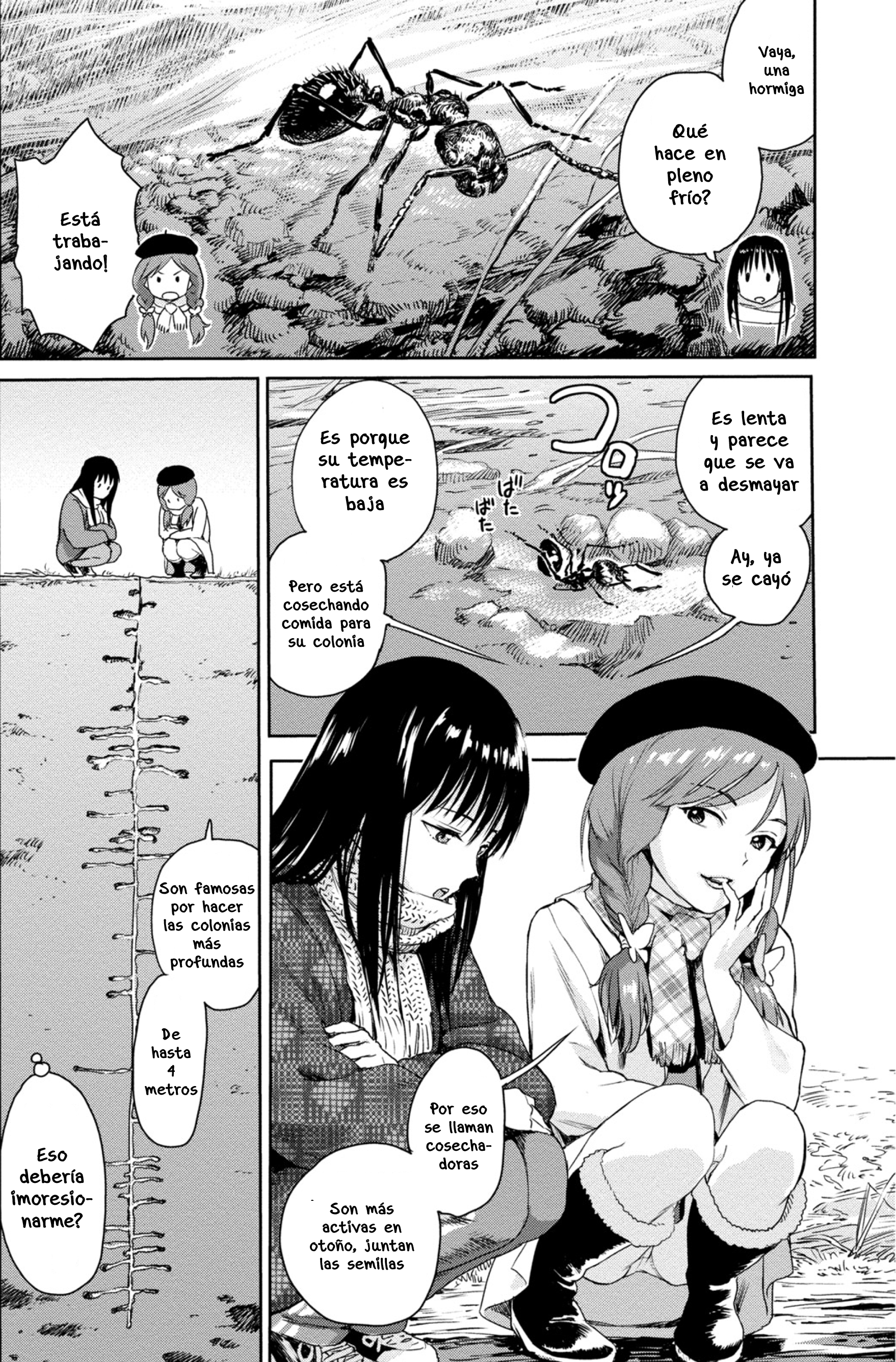 Mai's Insect Life Hormiga cosechadora 第4页