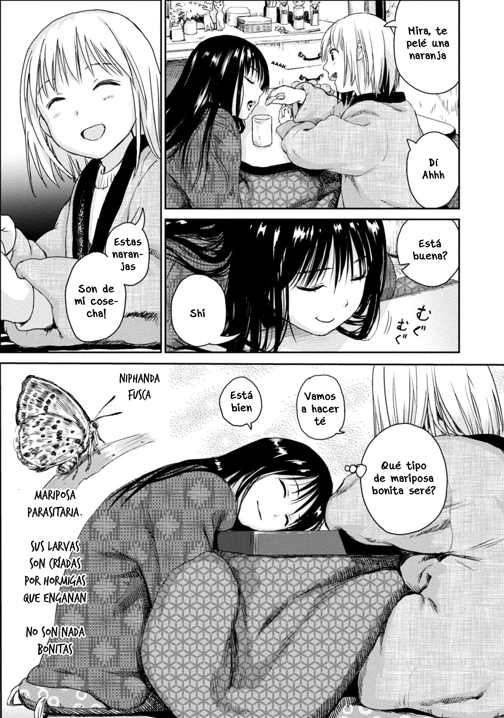 Mai's Insect Life Hormiga cosechadora 第8页