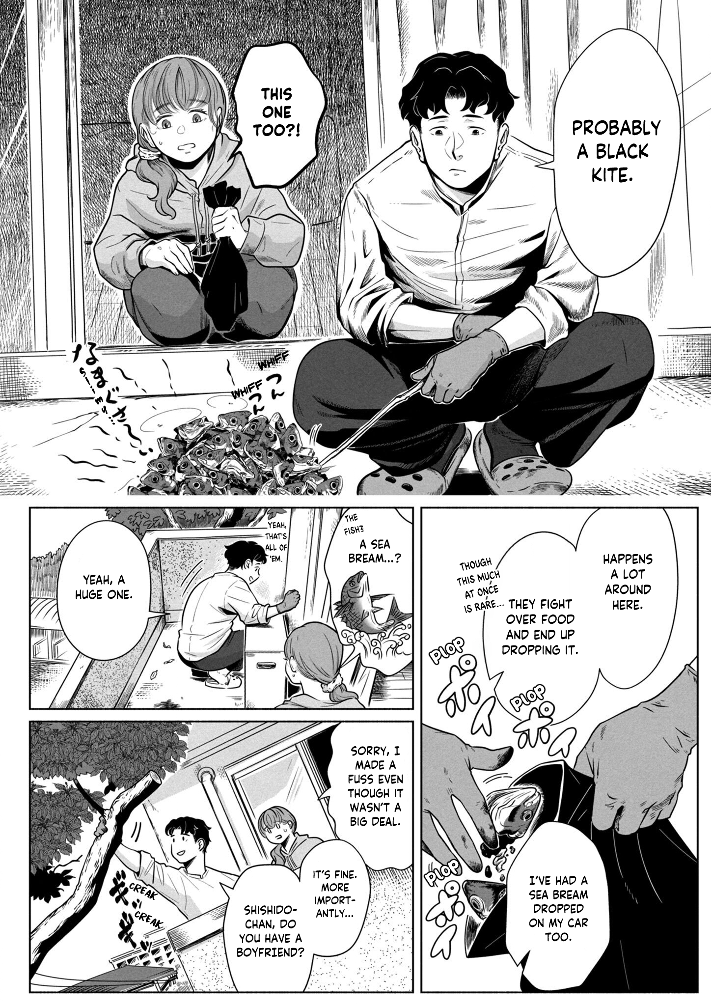 Yomotsu Kedamono The Tengu's Bride 第13页
