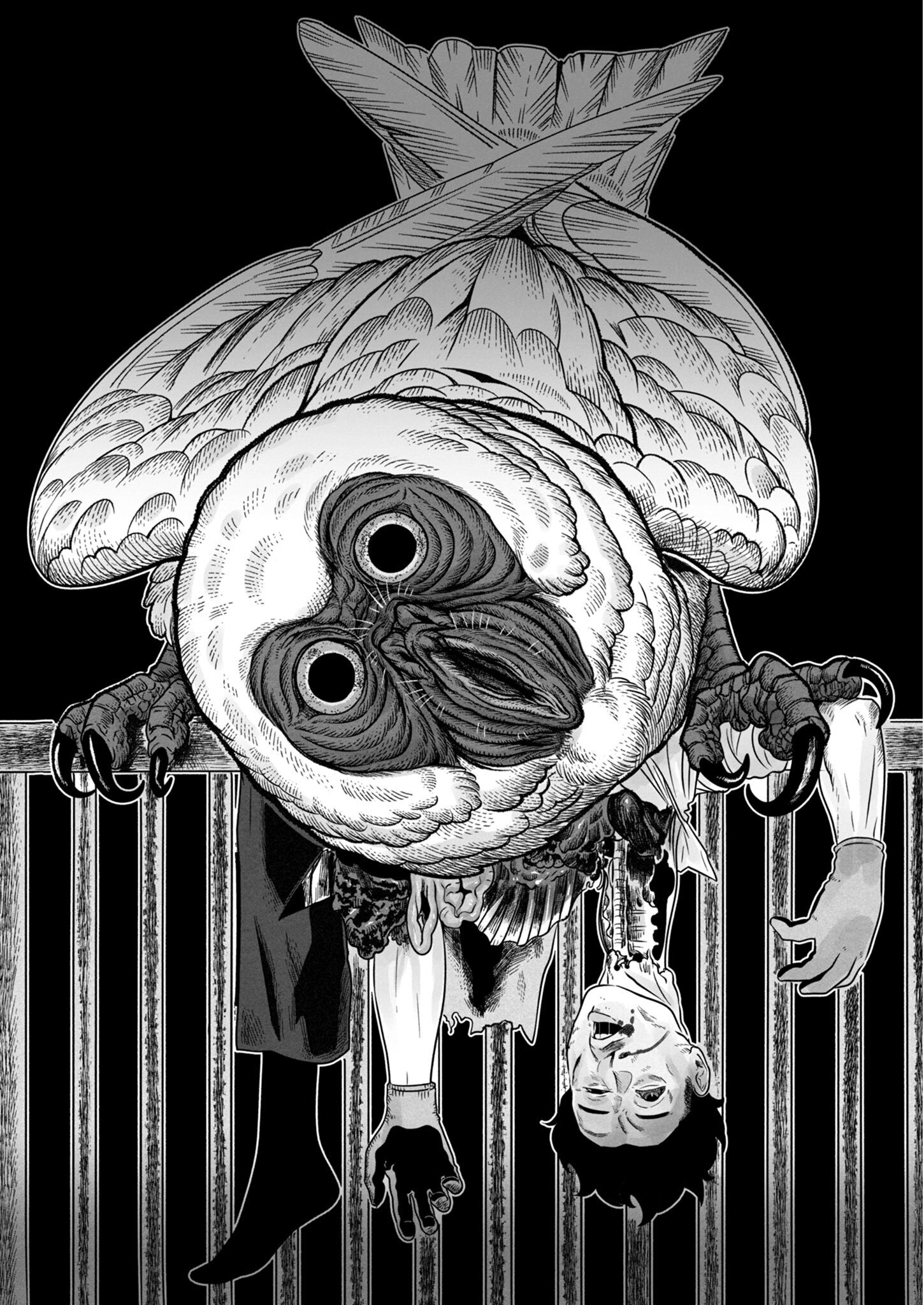Yomotsu Kedamono The Tengu's Bride 第39页
