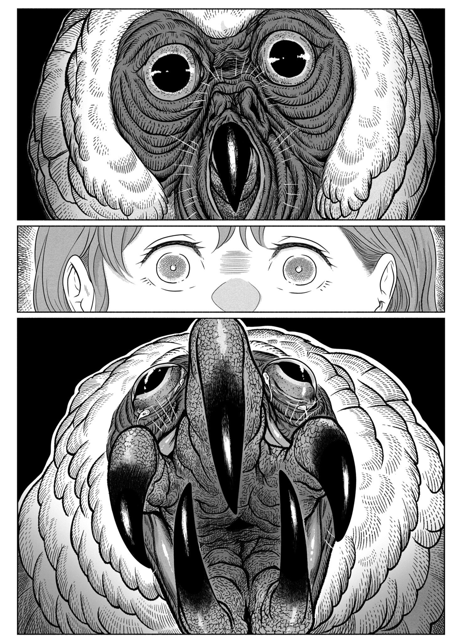Yomotsu Kedamono The Tengu's Bride 第40页