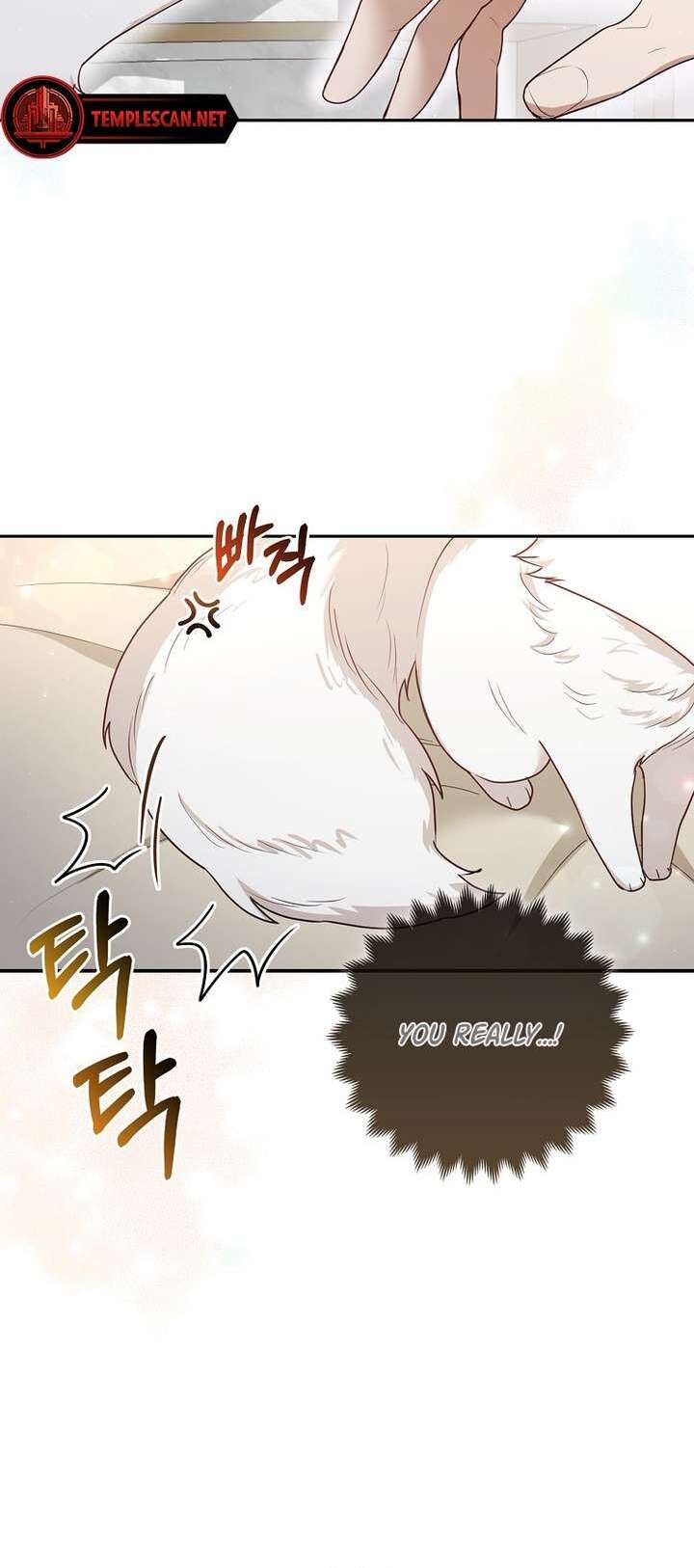The Grand Duke's Fox Princess Vol. 1 Ch. 5 第4页