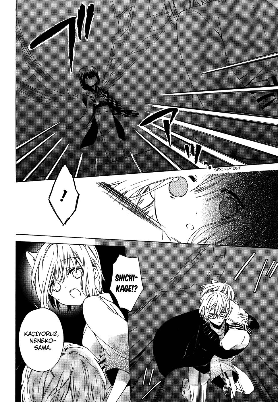 Kudamimi no Neko Yeni Bir Yaşam, Yeni Bir Hedef 第40页