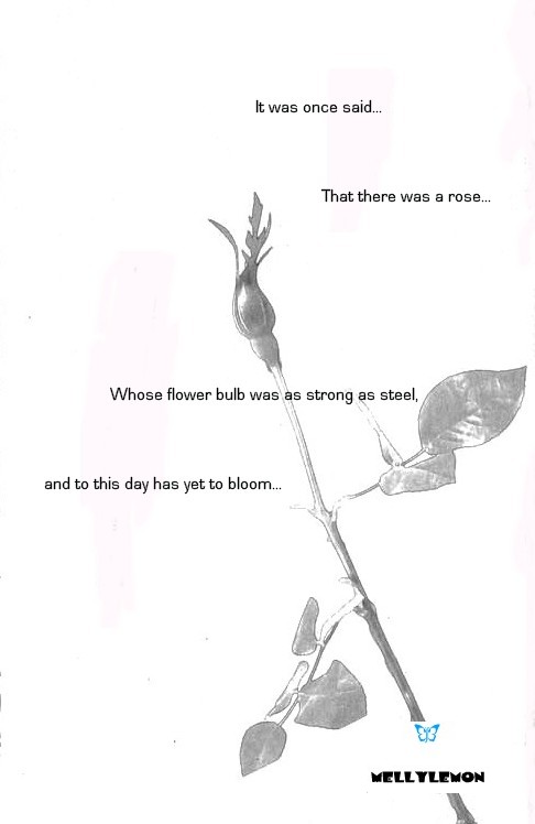 Steel Rose 第5页